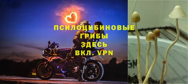 героин Абаза