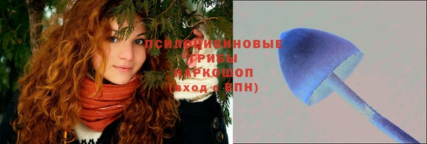 героин Абаза