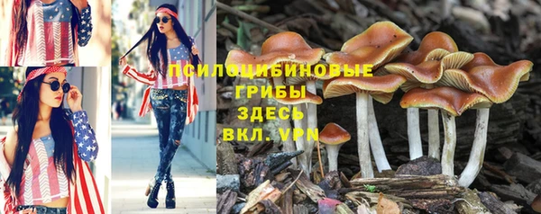 круглые Няндома